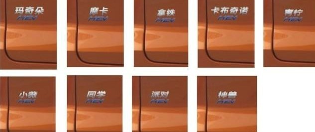 魏派WEY玛奇朵及多款未来车型曝光