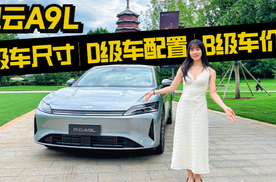 15万级插混C级轿车，风云A9L能打吗？