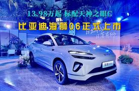 入门即高配，13.98万起，诚意满满，比亚迪海狮06正式上市