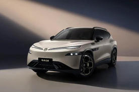 销量业绩双承压，谁能为金标大众“救急”？