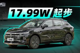 17.99W起 一众列强中 岚图知音还有戏么？