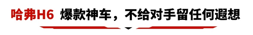 放弃合资车标选了这些车，只因它们才是全村的希望！
