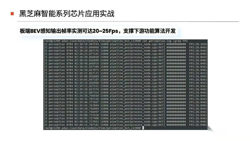 全栈量产智驾应用算法在C1200家族芯片上的部署 | 研讨会回顾
