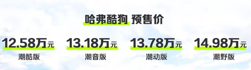 带你寻找诗和远方 或三季度上市 哈弗酷狗预售价12.58万起