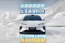 30万以内最全能的旗舰家轿比亚迪海豹08上市