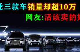 凭三款车销量却超10万，网友：活该卖得好！