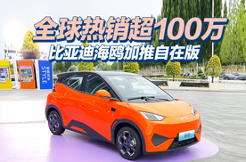 全球热销超100万，比亚迪海鸥加推自在版