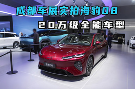 成都车展实拍比亚迪海豹08  20万级全能车型