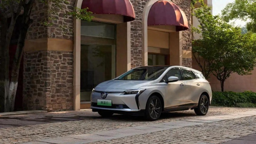 ID.3、秦PLUS EV、微蓝6，过年开哪款最安心？
