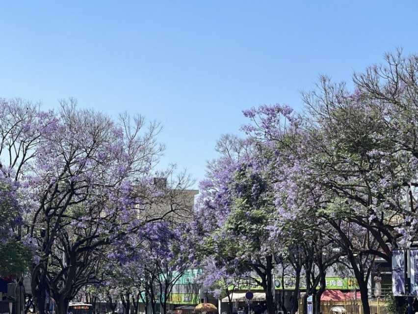 满足你对经济型SUV的各种“大”要求：捷途X70 PRO上市