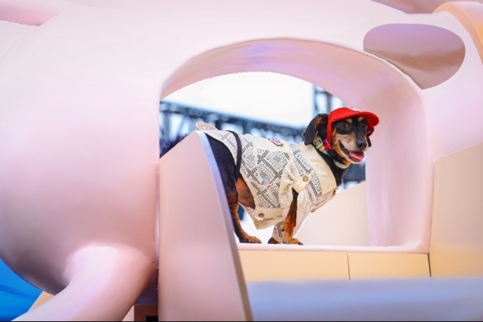 惊喜邂逅！腊肠犬来到极氪X展台！