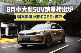 8月中大型SUV销量榜出炉，国产强势霸榜，岚图FREE+前三