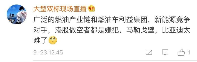 比亚迪“被放火”？做大佬真的太难了