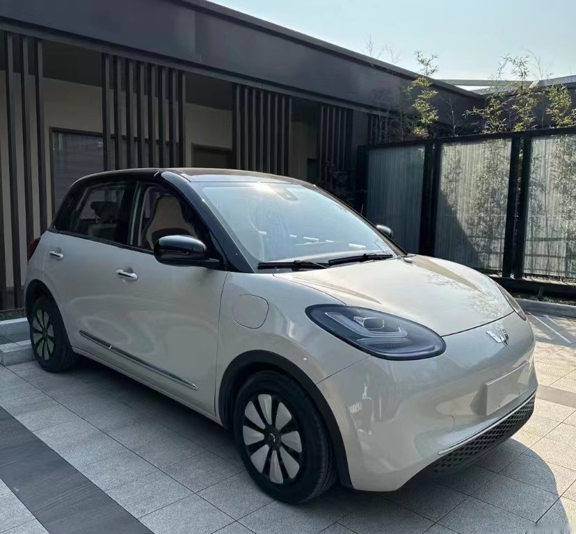 10万预算买纯电车，五菱缤果、海鸥、哪吒AYA，家用谁更合适？
