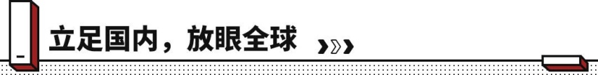 年销量超111万辆，创历史新高，中国SUV一哥太牛了！