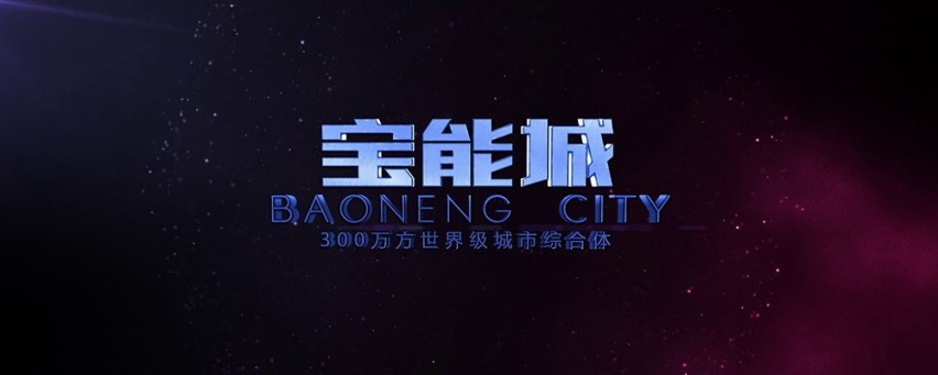 将DS收入麾下的宝能 到底图点啥？