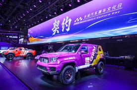 逆势造V8图啥？魏建军：让年轻人从仰望到拥有