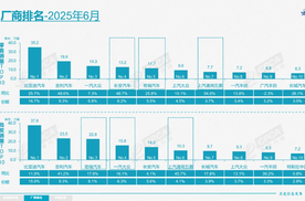 2025半年盘点：份额下滑至36%，合资车企这半年过得如何？