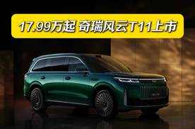 半价“理想L9”？17.99万起，增程大六座SUV，奇瑞风云T11上市