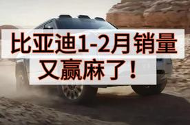 持续领跑的全维度销冠！比亚迪1-2月销量又“赢麻了”