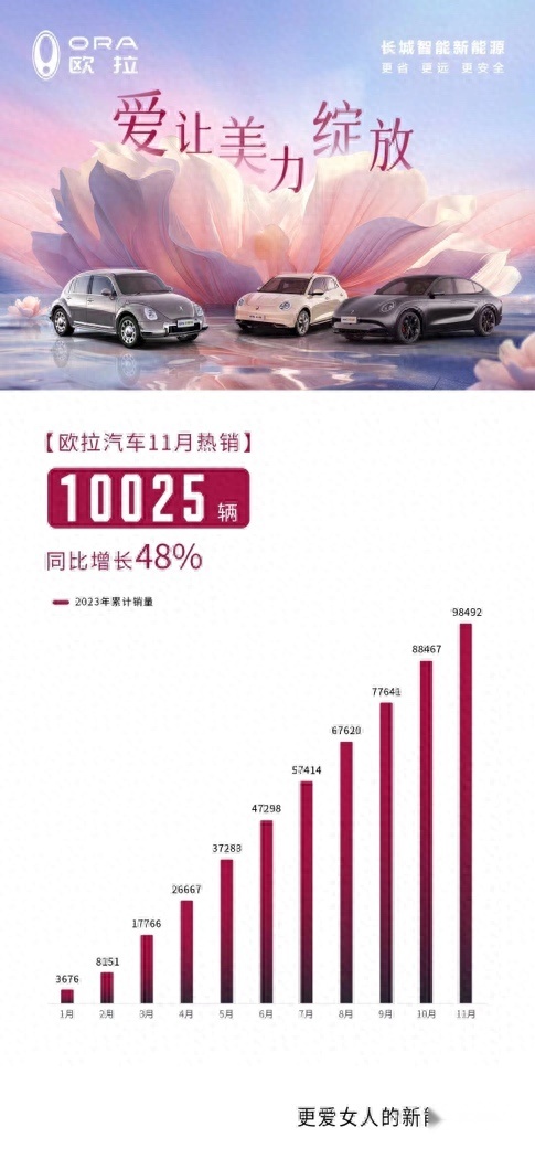 欧拉汽车11月热销10025辆！同比增长48%