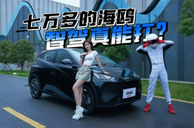 七万多能买智驾？高速实测比亚迪海鸥，智驾真能打吗？