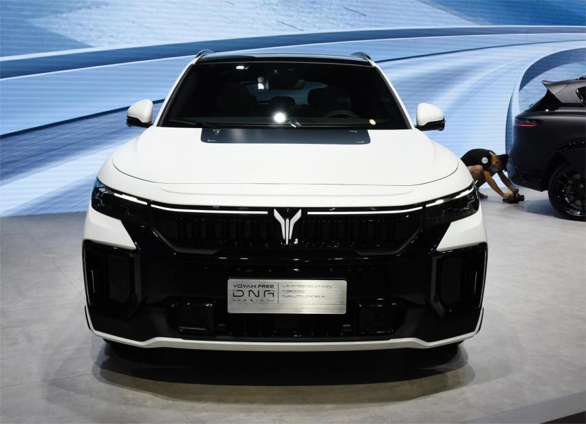 新能源的未来在哪？新势力VS传统豪车，网友：一个真牛，一个吹牛！