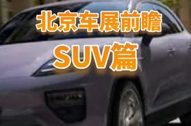 2024北京车展前瞻·SUV篇，家用、硬派全都有！