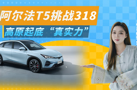上高原起底真实力，阿尔法T5挑战318，成功！