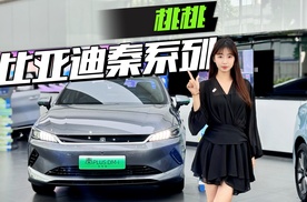 帮粉丝抄底比亚迪秦