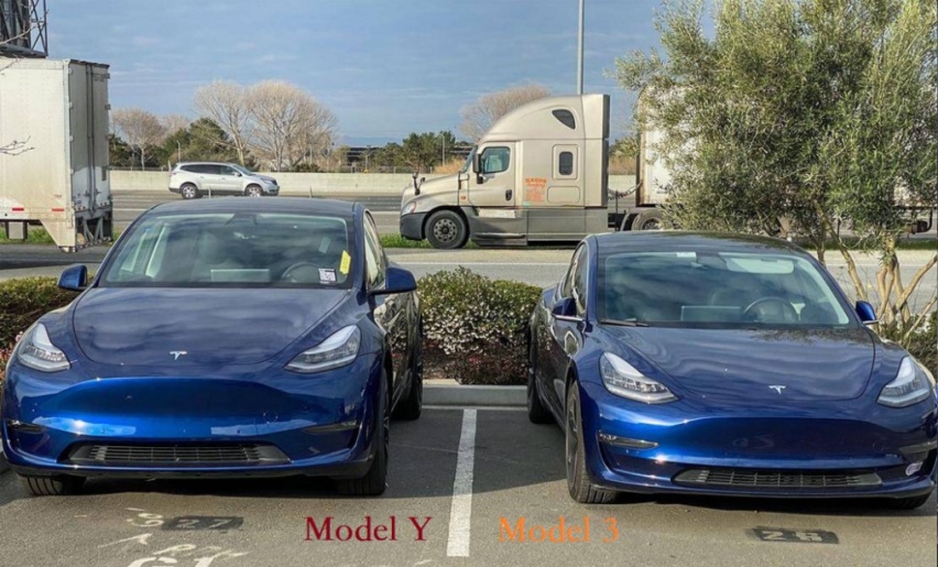 国产Model Y低价上市 自主品牌卖不动了？未必！