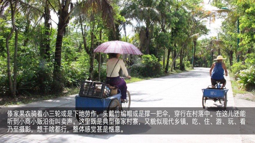 吉利幸福花田测和初恋的夏天—彩云之南西双版纳