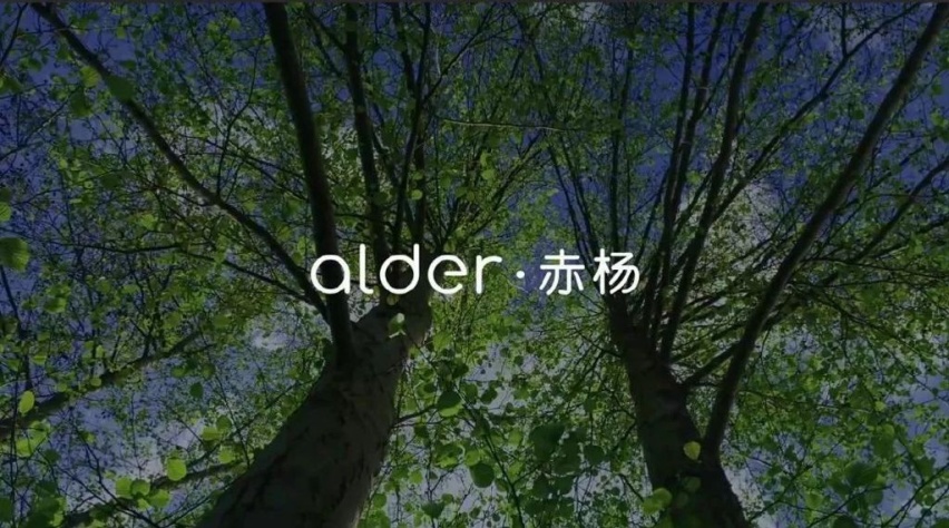 蔚来：新生向前，老生迭代