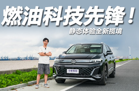 静态体验全新揽境：双前脸布局，智能化媲美新势力？