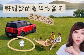 野得起的豪华方盒子  8.99万起风云X3家族  香