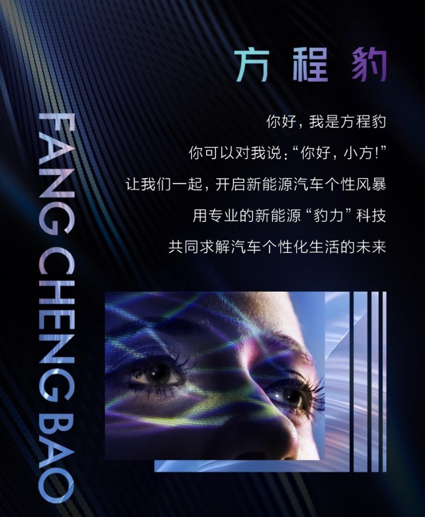 比亚迪“F品牌”正式定名“方程豹”，打造“个性化生命体”