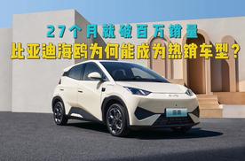 不愧是全球车，27个月就破百万销量，比亚迪海鸥为何能如此热销？