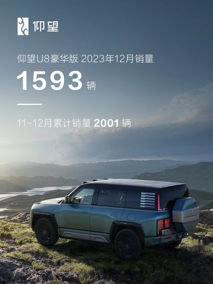 以极致技术打造高端品牌  仰望首个完整交付月销量即达1593