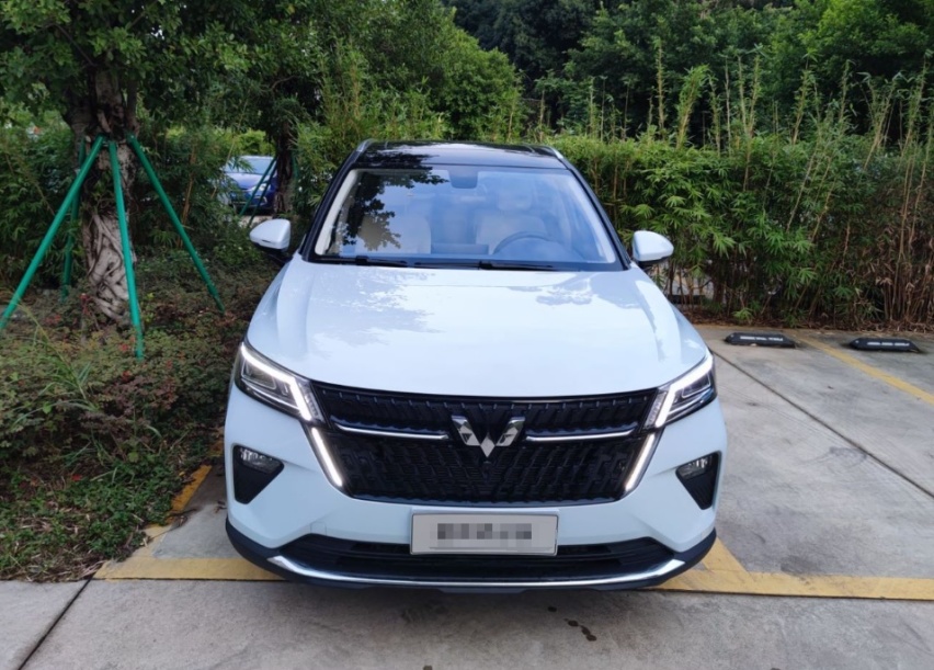 自驾游就靠它，开1000公里只需一箱油，后排可当床，大厂出品