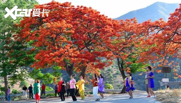 英国人惊奇：“中国大妈”来了