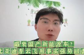 唱衰国产新能源车？到底是别有用心还是无知？