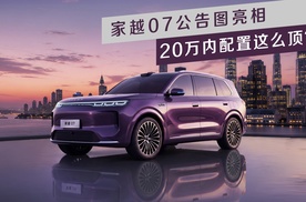 家越07公告图亮相 20万内配置这么顶？