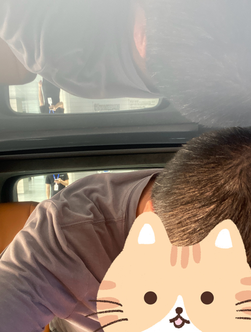 汽车工程师评翼真L380设计细节：产品竞争力不弱，可惜没人认识它