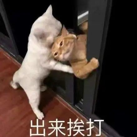 这一撞算是撞出了价值来了？我想当尊贵韭菜