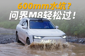 600mm积水炮弹坑，问界M8轻松通过！