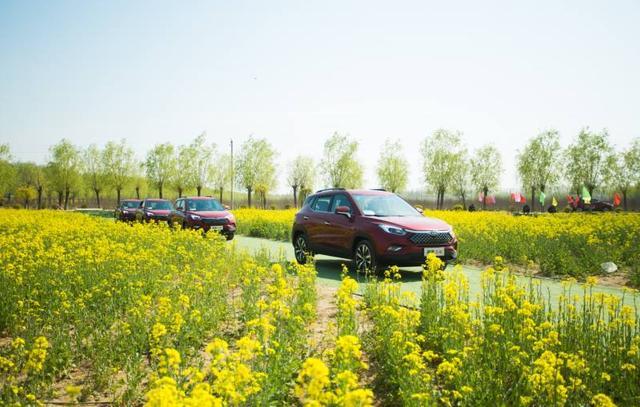 八万出头买自动挡SUV？还要是带T、省油、智能那种