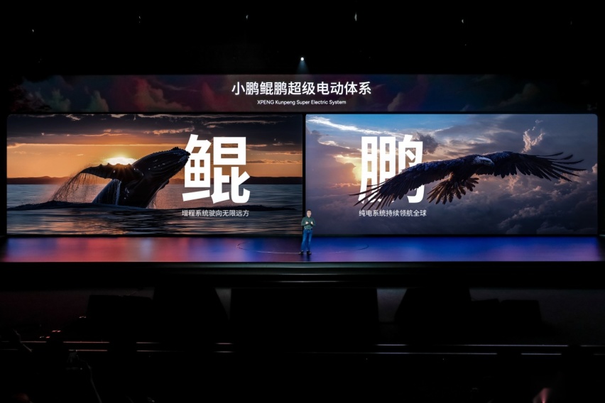 微信图片_20241107154314.jpg