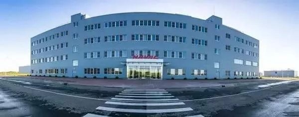 新能源市场大洗牌？WEY想用这两台车独占鳌头