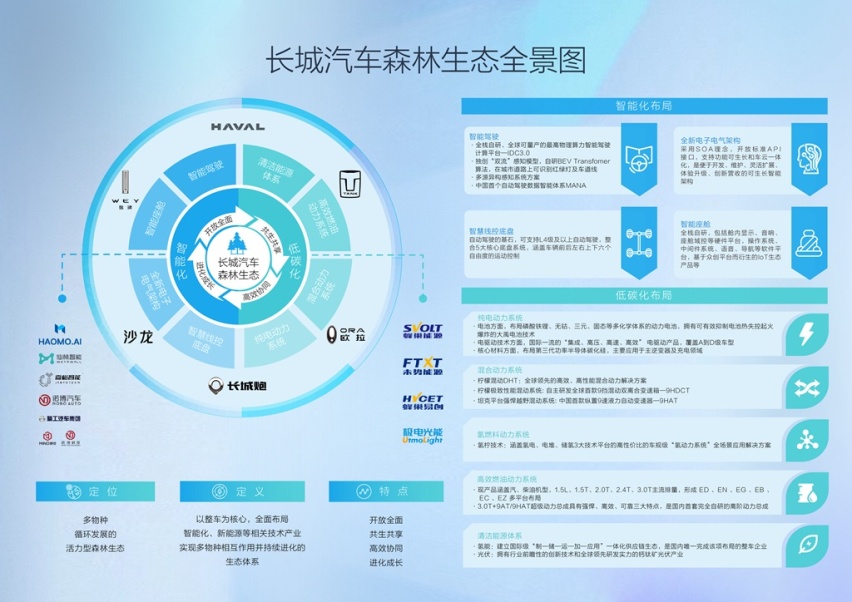 森林图片1_副本.jpg