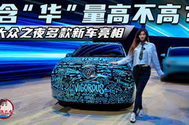 含“华”量高不高？大众之夜多款新车亮相